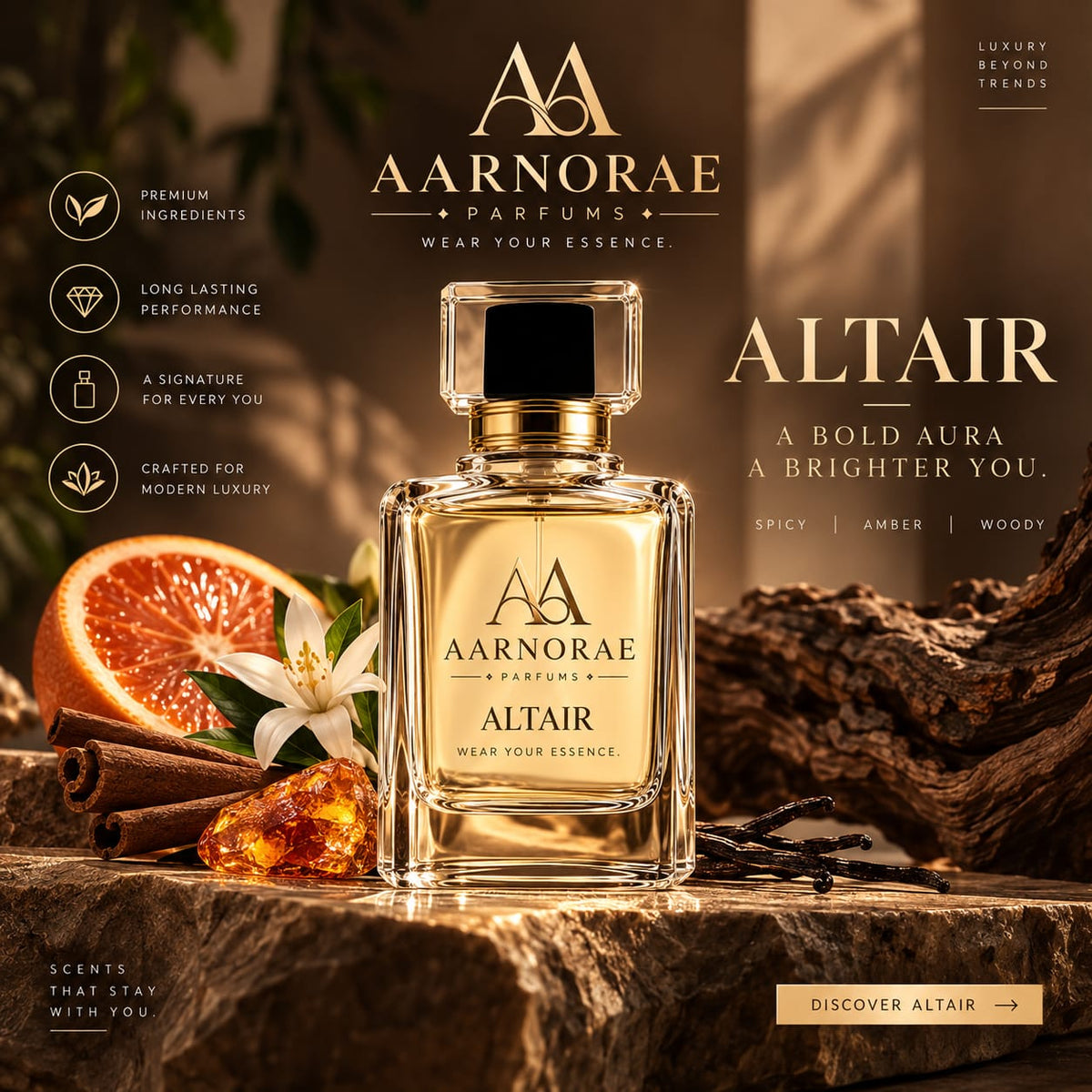 aarnorae-altair-2
