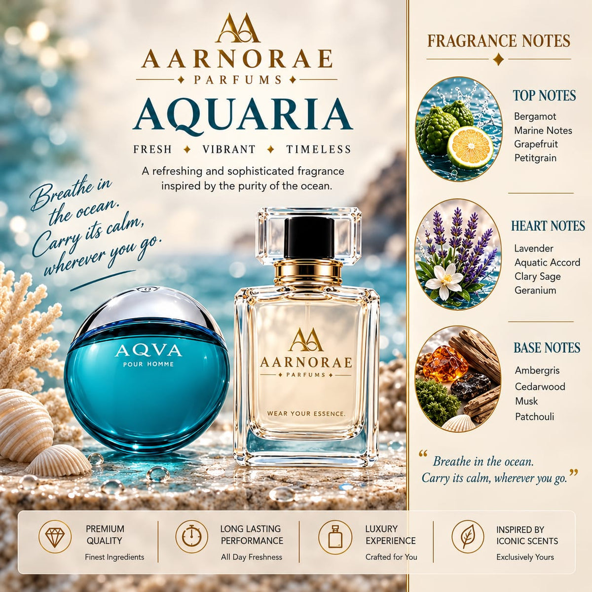 aarnorae-aquaria-1